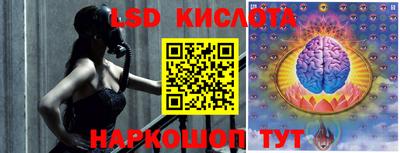 дмт Донской