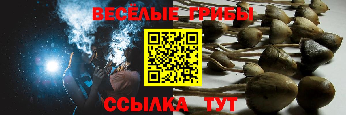 Галлюциногенные грибы Magic Shrooms Балашов